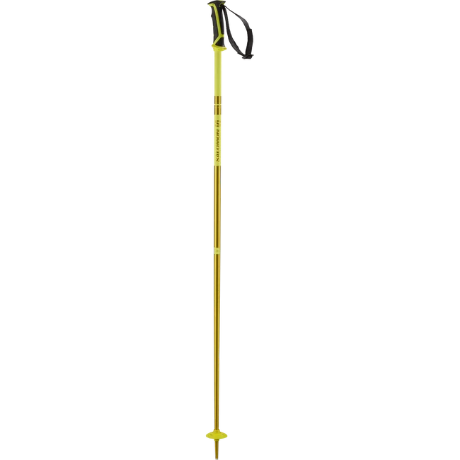 ARCTIC  Alpinstöcke Unisex