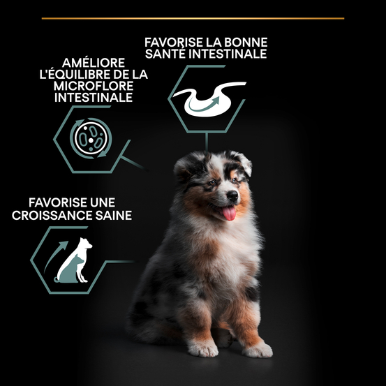 Croquettes chien junior de taille moyenne digestion difficile - 3 kg