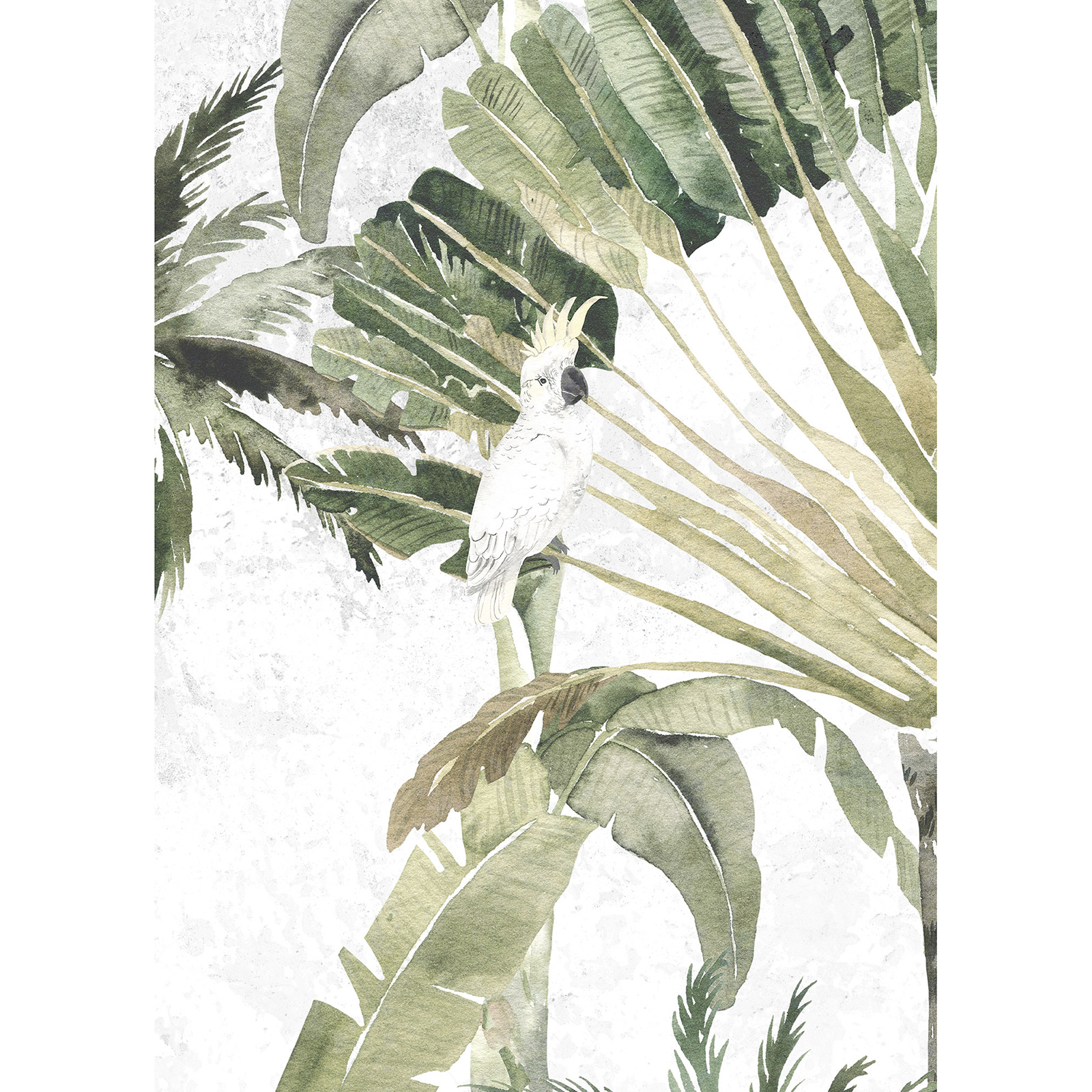 Wandbild OISEAU CACADOO - 50x70 cm