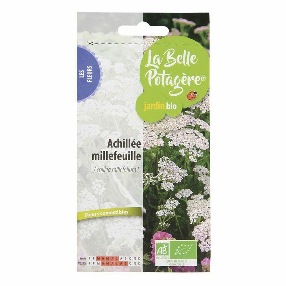 Graines à semer - achillée millefeuille - 0,30 g