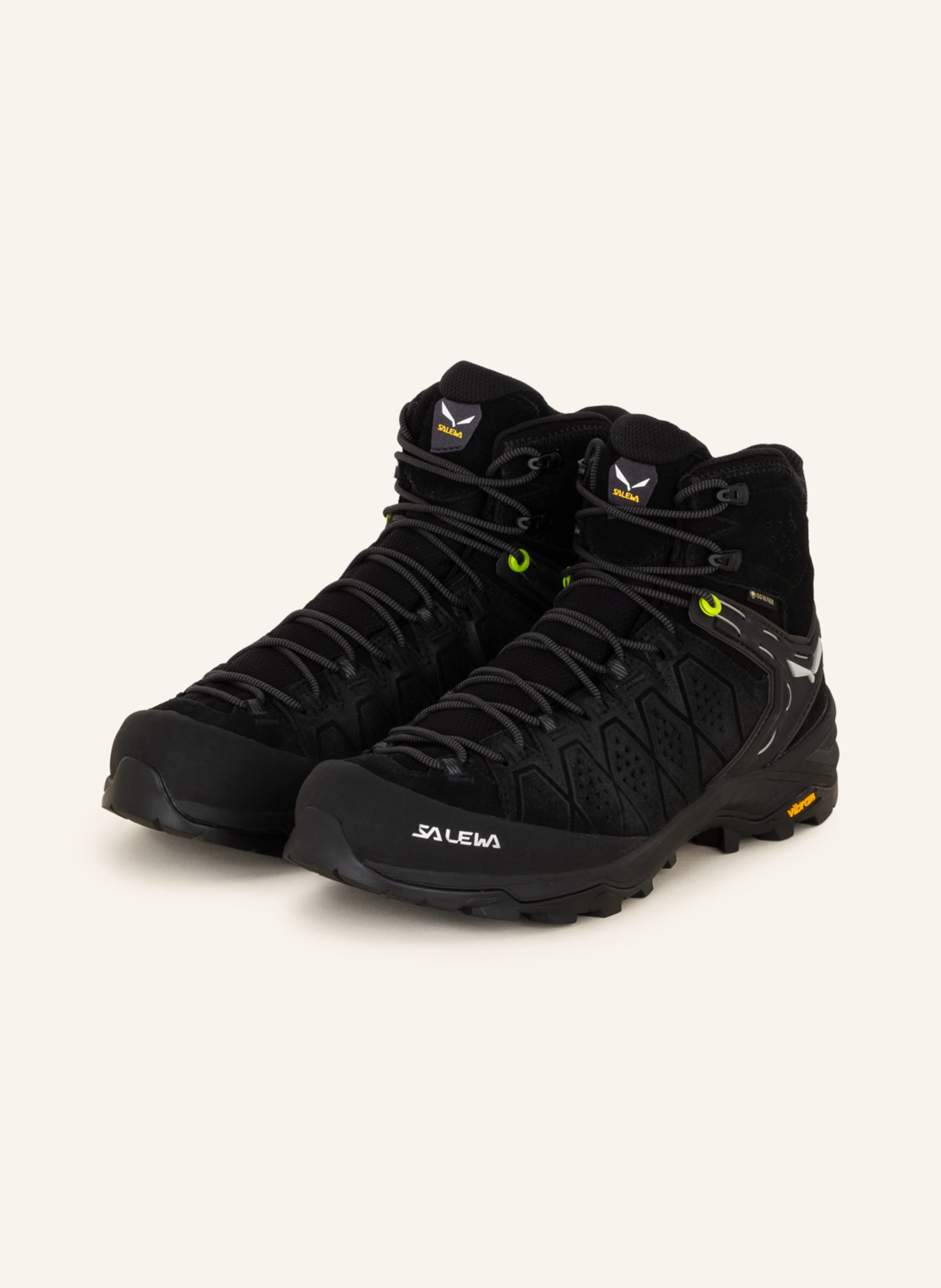 SALEWA Wanderschuhe ALP TRAINER 2 MID GTX