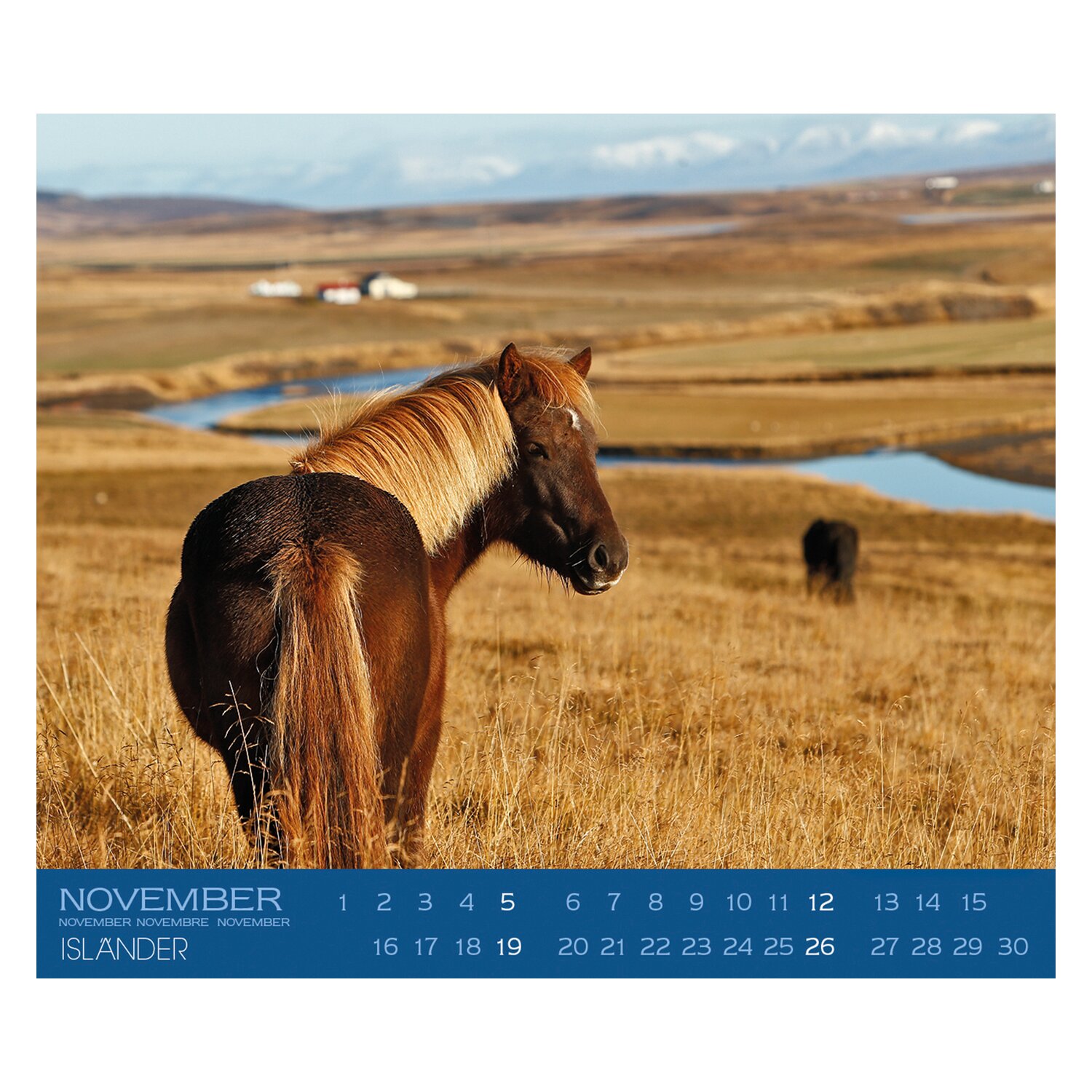 Kalender Isländer  - 2025