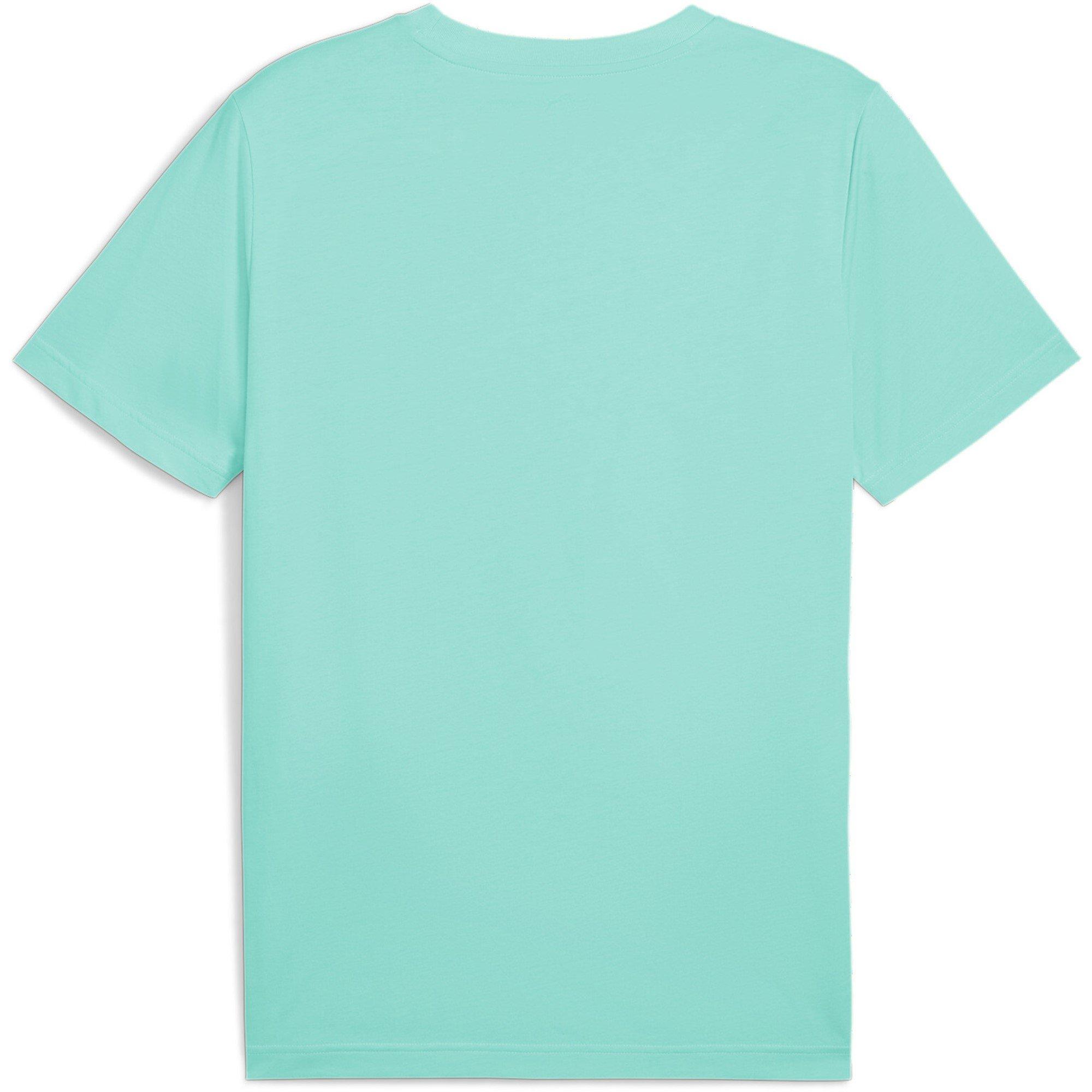 Puma QT Tee Sn53
