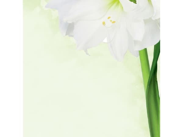 Sigel DP463, Universell, A4 (210x297 mm), 25 ark, 90 g/m², Grønn, Hvit, Forest Stewardship Council (FSC)
