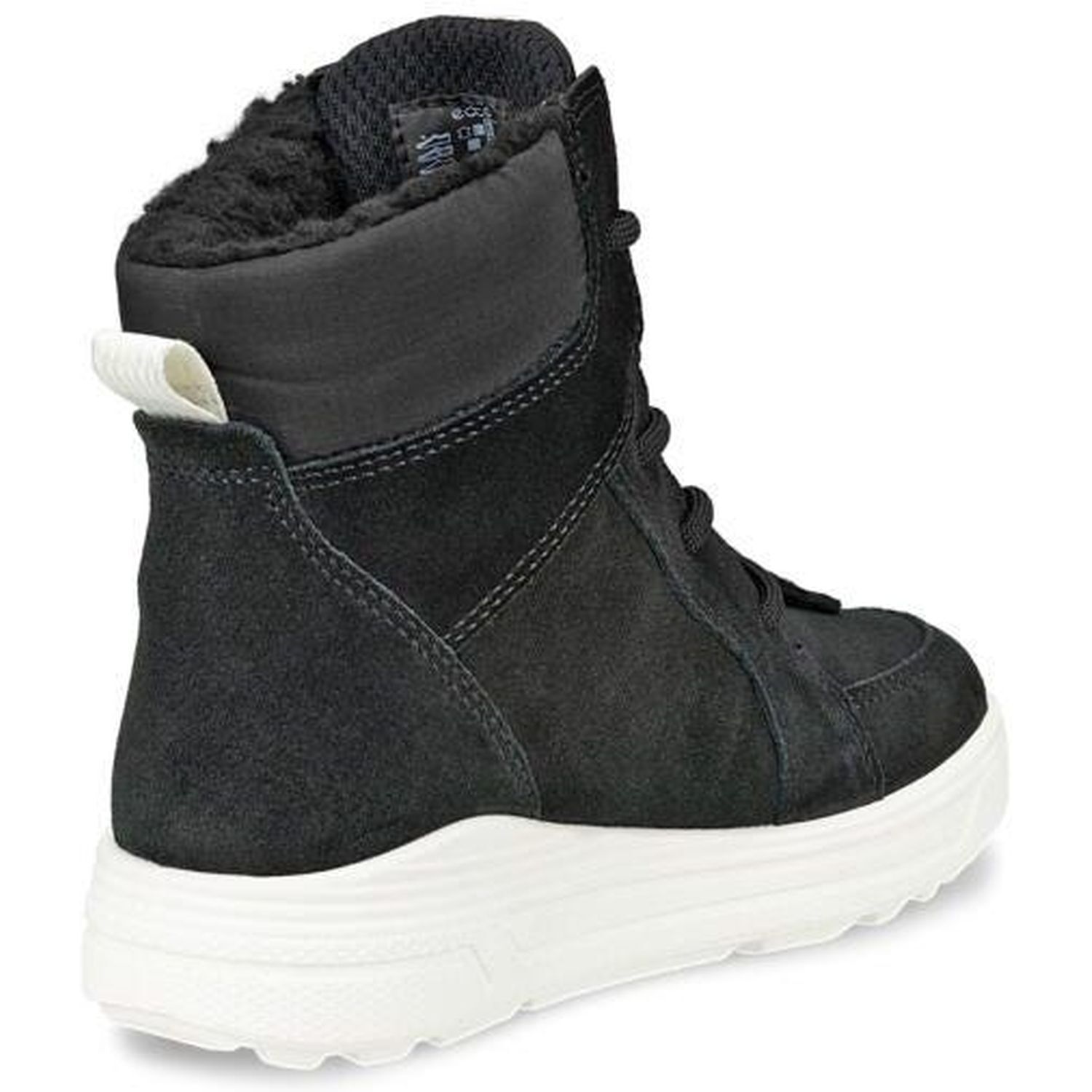 Ecco722363 Urban Snowboarder