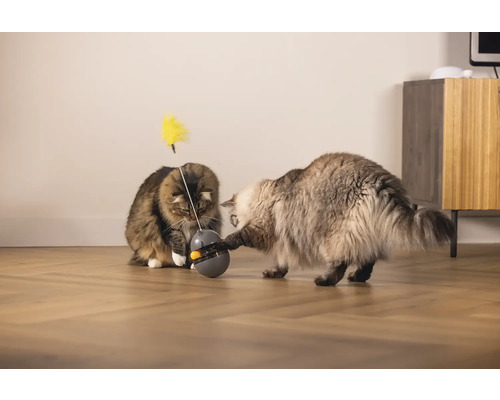 Beeztees Interactief Wibol Kattenspeelgoed, Intelligentiespeelgoed, Snackspeelgoed, Activiteitenspeelgoed