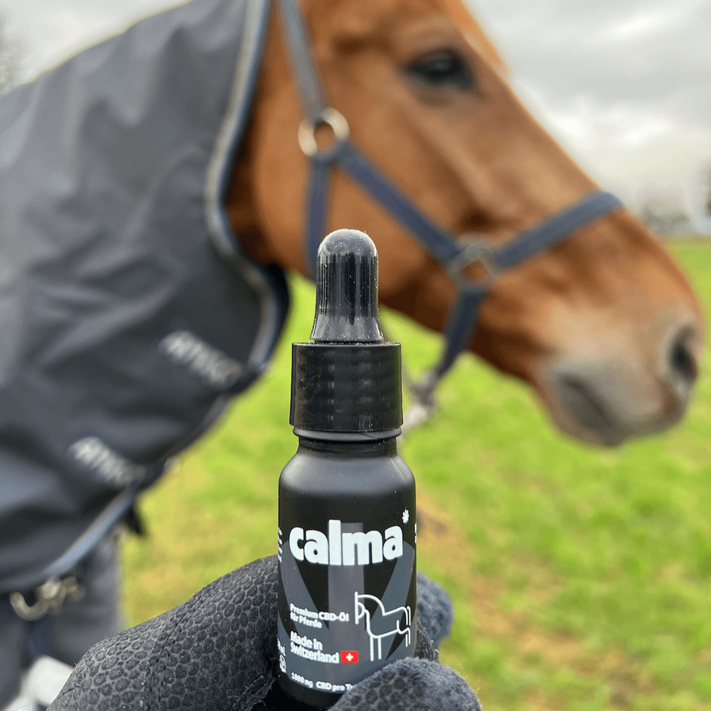 CALMA CBD para Cavalos | Óleo de CBD