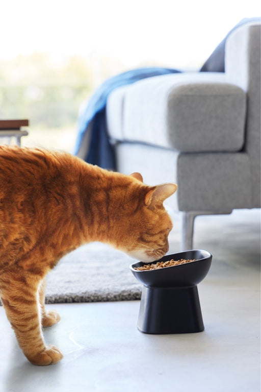 Yamazaki Voerbak Kat | Hond - Schuin - Keramisch - Tower - Zwart