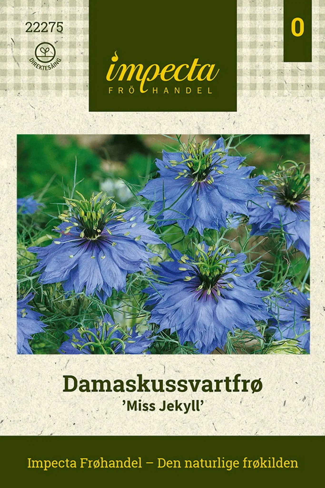 Nigella damascena 'Miss Jekyll' Damaskussvartfrø 'Miss Jekyll'