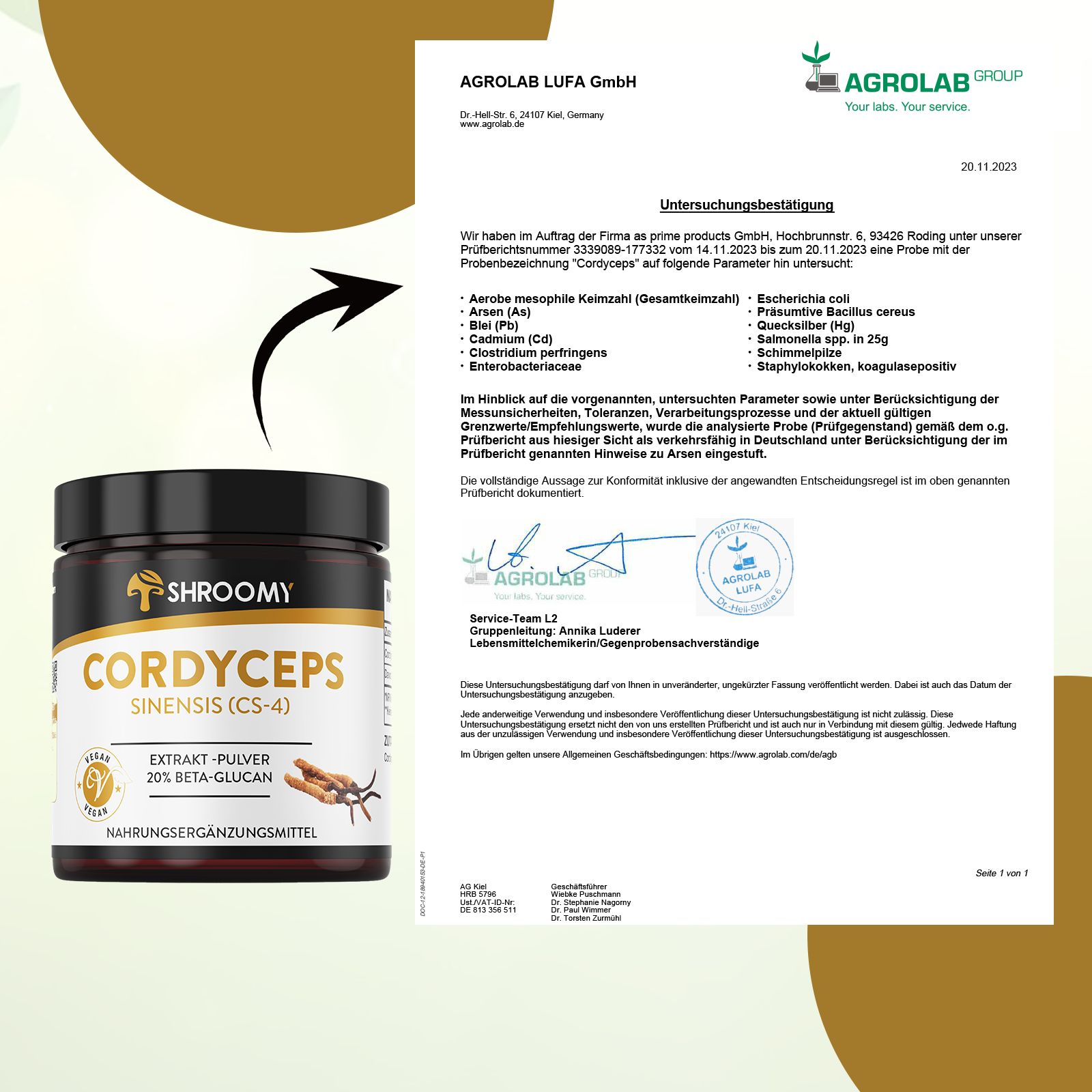 SHROOMY Cordyceps Extrakt Pulver