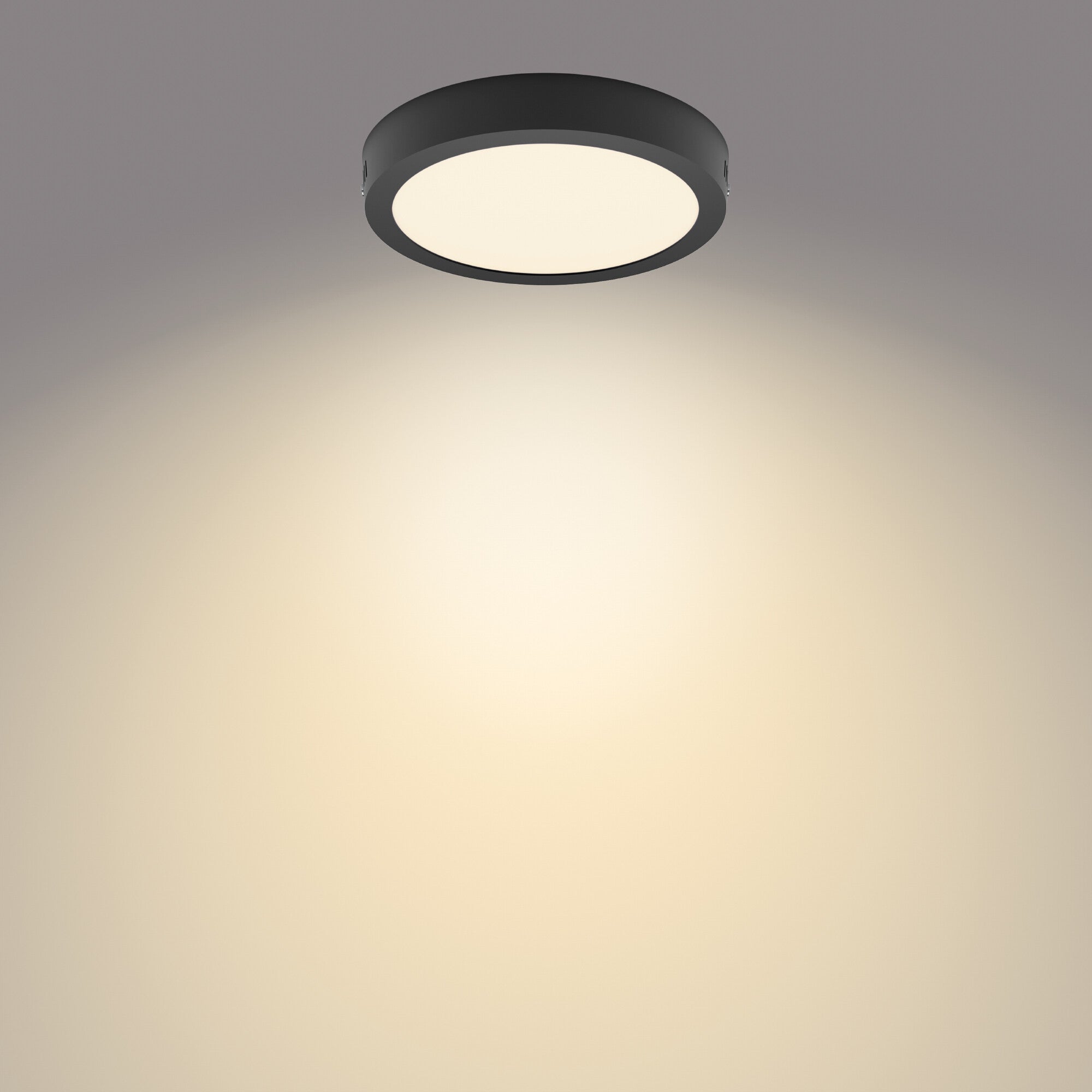 Philips Magneos plafondlamp - zwart - rond - klein