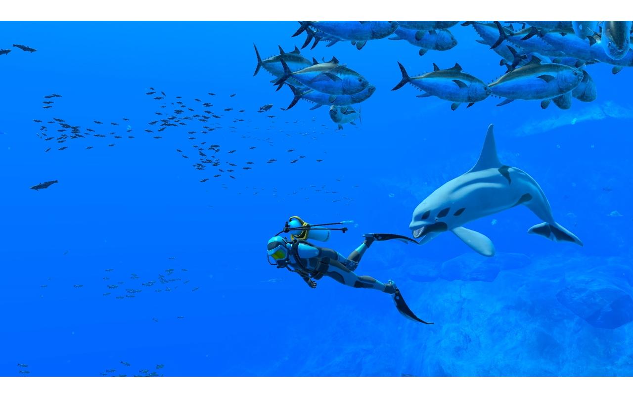 Endless Ocean LuminousUnterwasser-Simulation für die Switch
