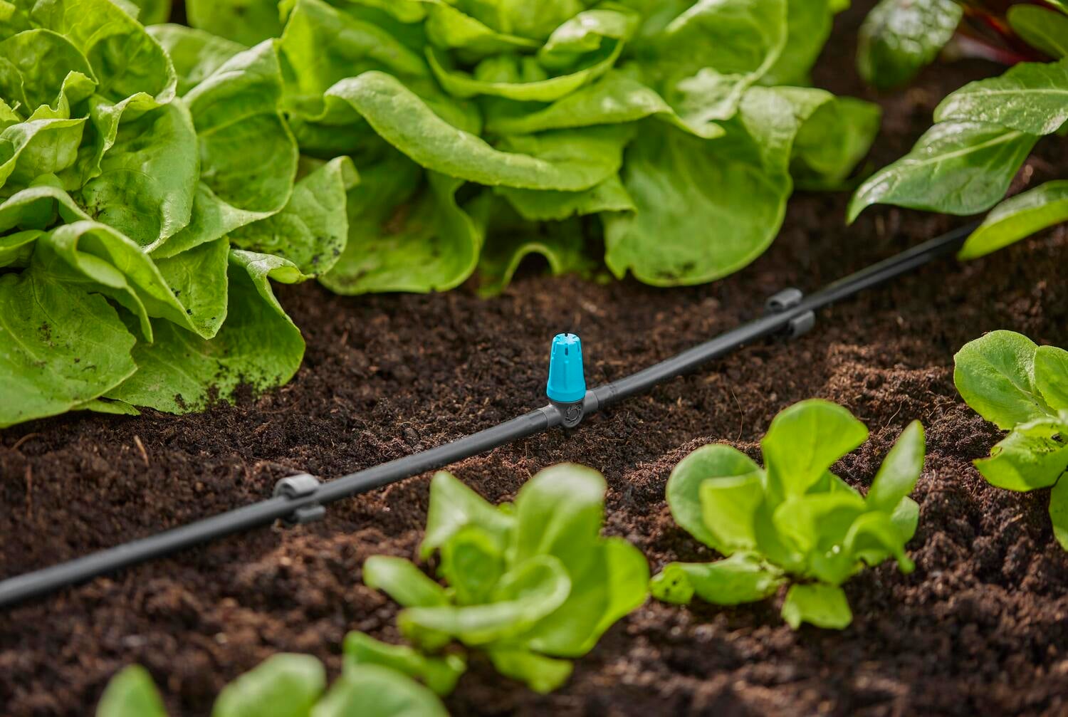Gardena Micro Drip systeem T-sproeier kleine oppervlakte