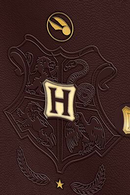 Quidditch - Cahier Premium | Harry Potter Bureau, Carterie & Emballage