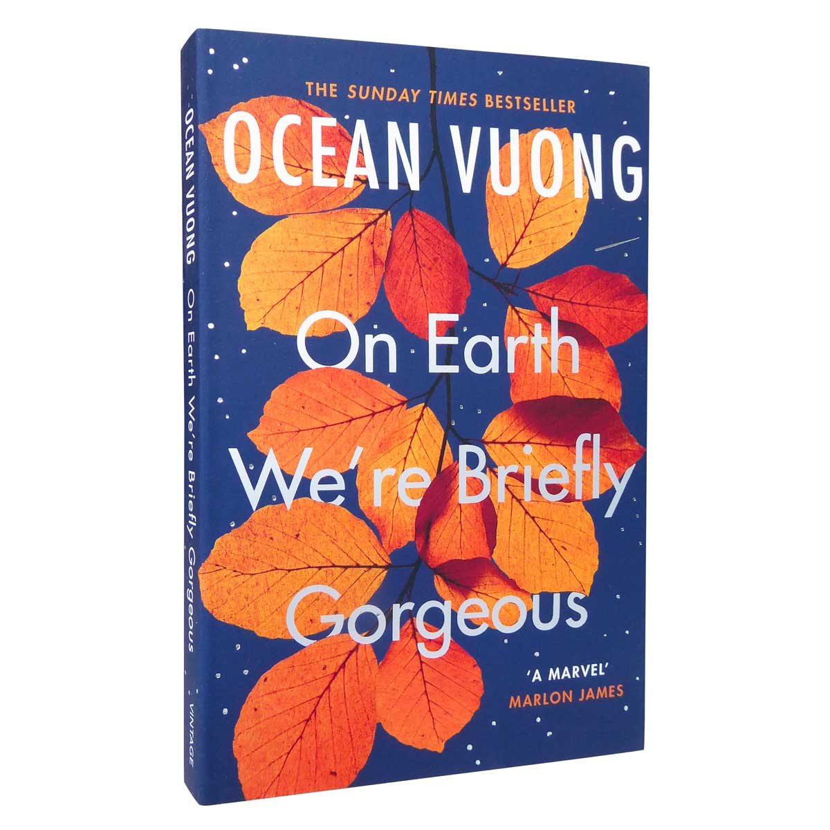 On Earth We're Briefly Gorgeous (Paperback)