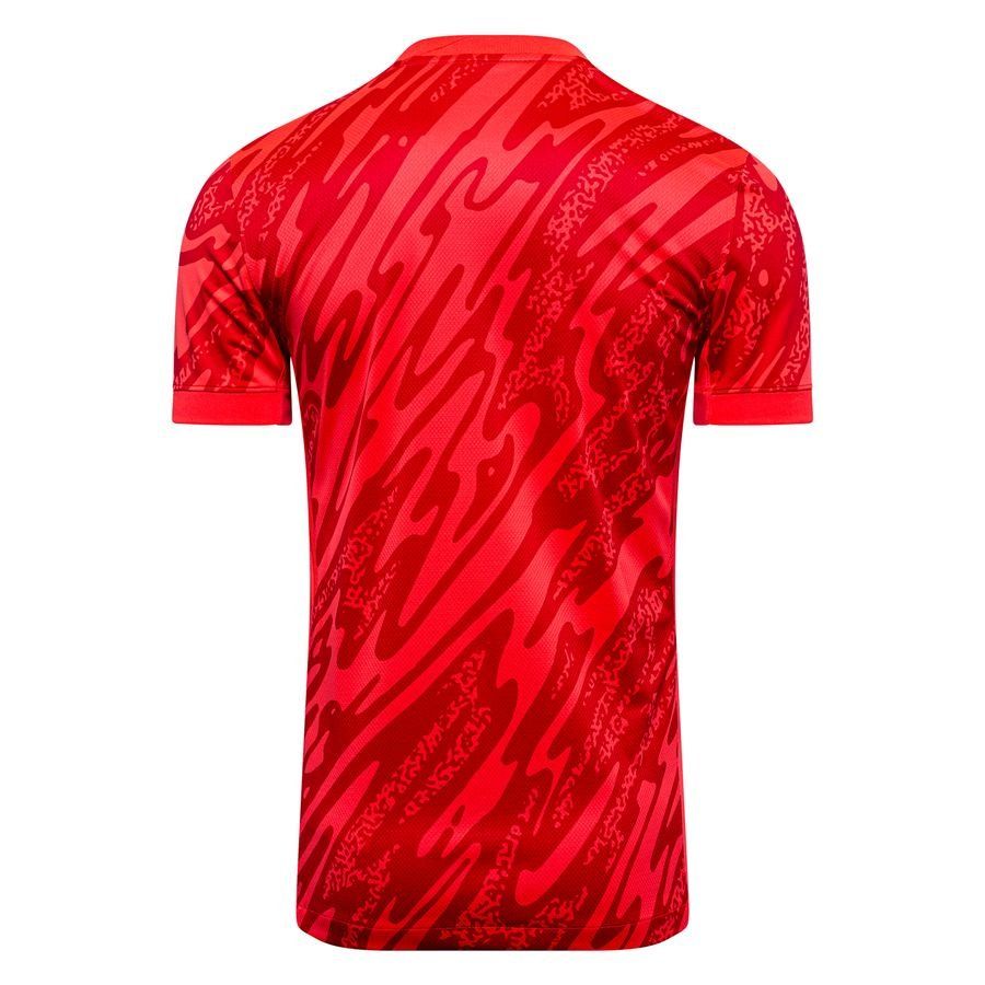 Nike Maillot de Gardien Dri-FIT Gardien V - Rose/Rouge/Blanc