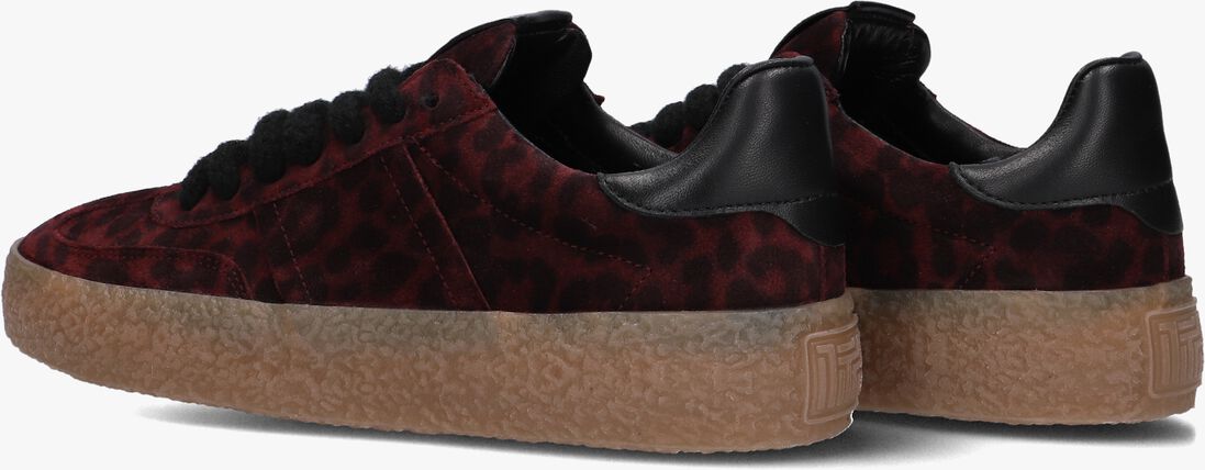 rode kennel & schmenger lage sneakers 14700