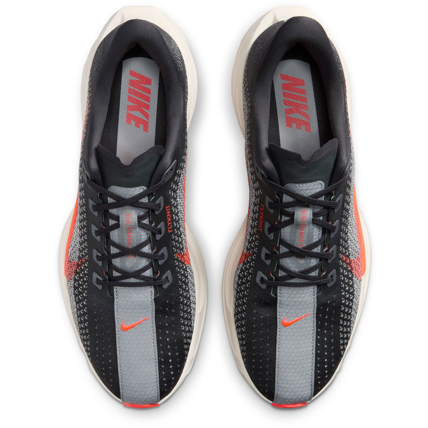 Nike Pegasus Plus Heren