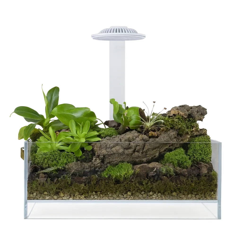 AquastoreXL Wabi Kusa Plantenterrarium Miniatuurtuin LED Wit