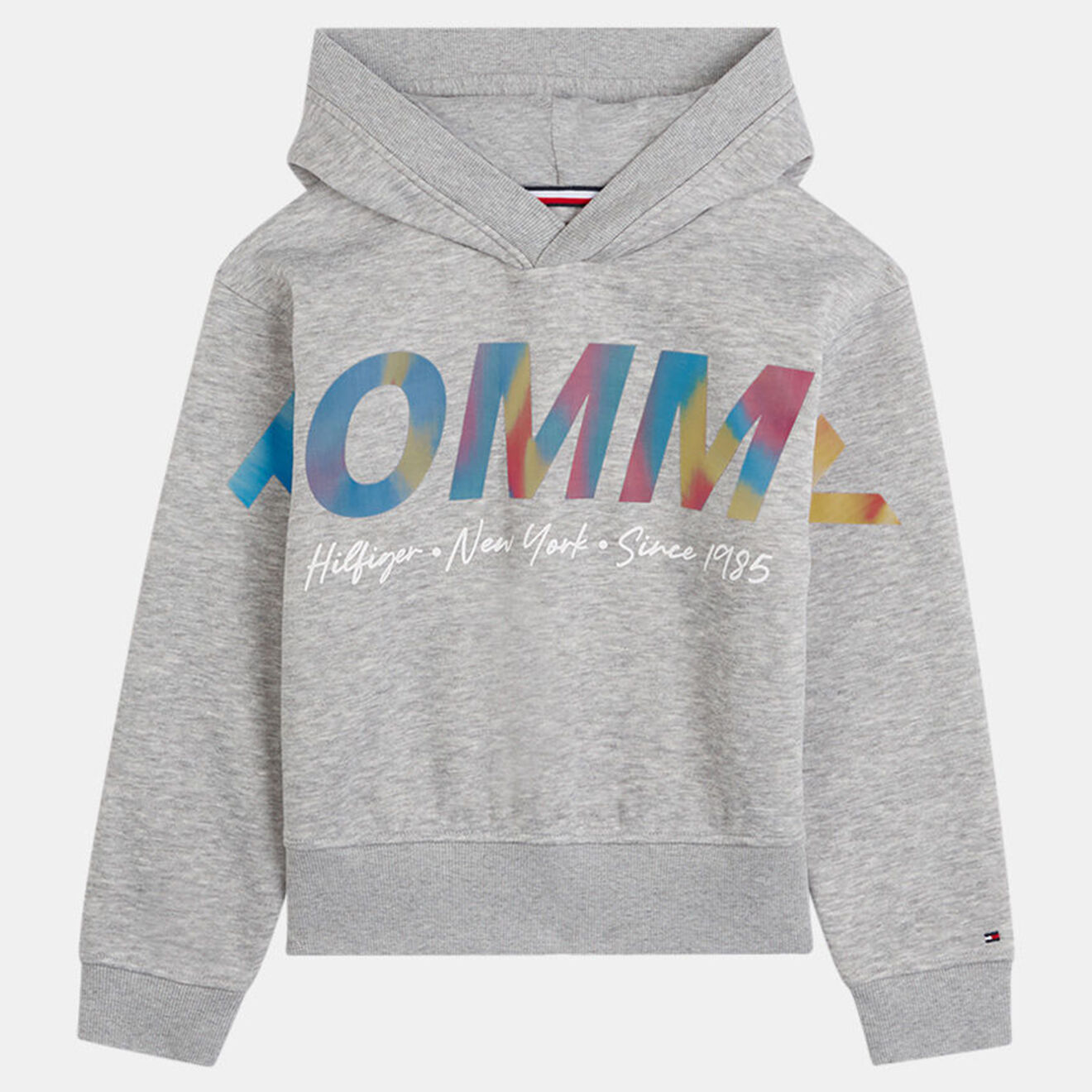 Tommy Hilfiger Sweat en matière recyclée à Capuche Logo coloré gris