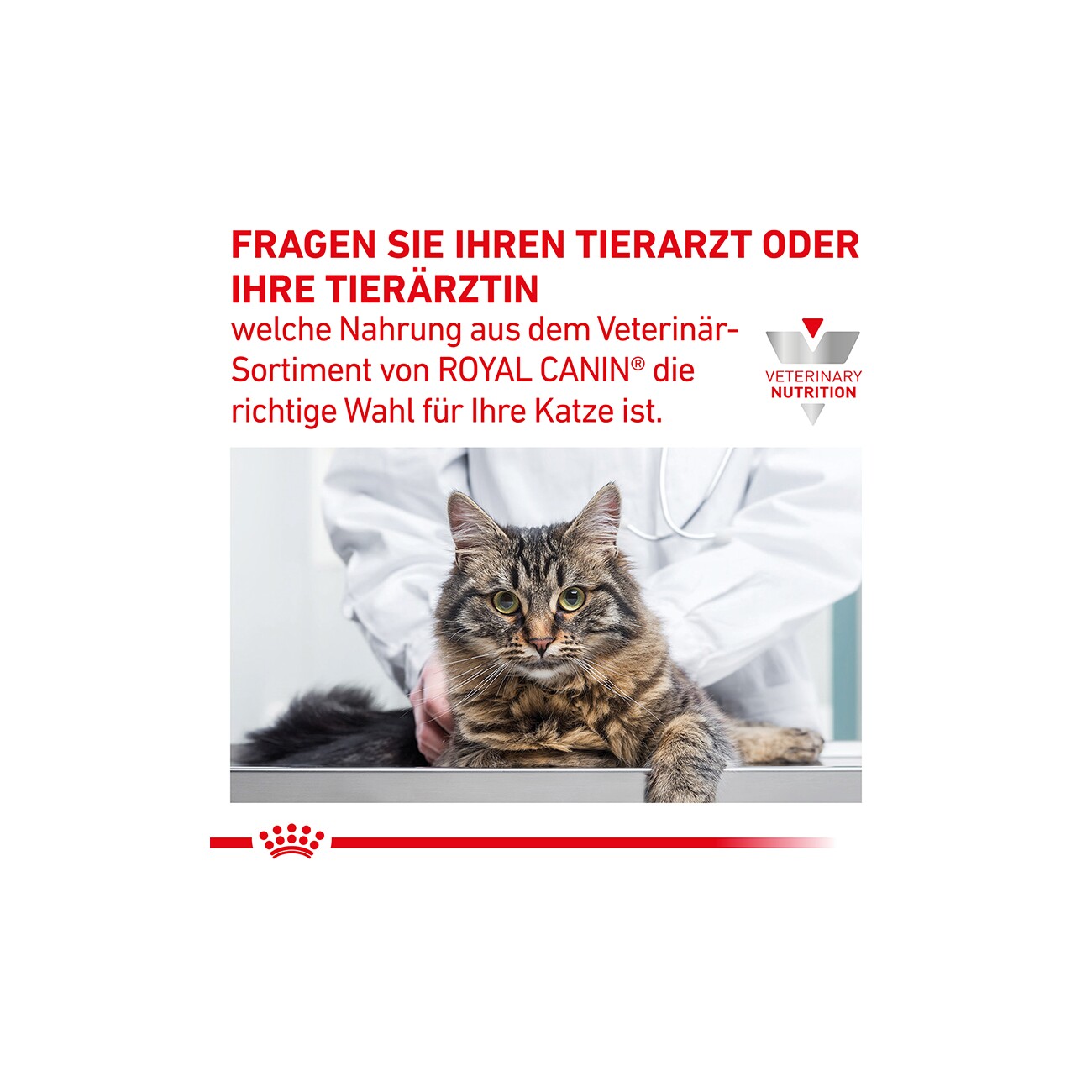 ROYAL CANIN Veterinary Gastrointestinal Hairball 2 kg