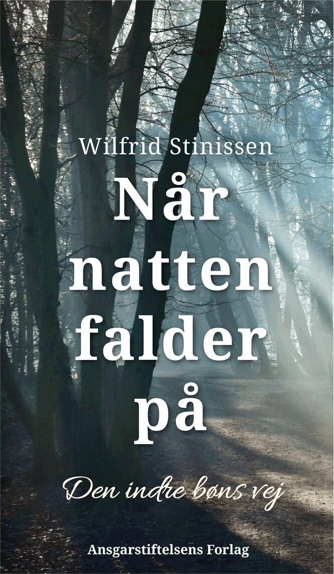 Når Natten Falder På - Wilfrid Stinissen - Bog