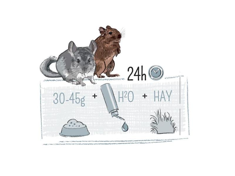 Witte Molen Hauptfutter Puur Gourmet-Müsli für Chinchilla & Gourmet-Müesli für Chinchillas und Degus
