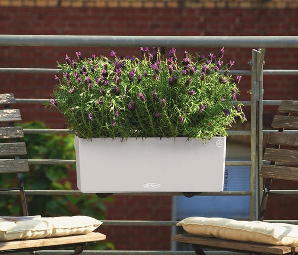 LECHUZA® Kunststoff-Kasten Balconera Color,