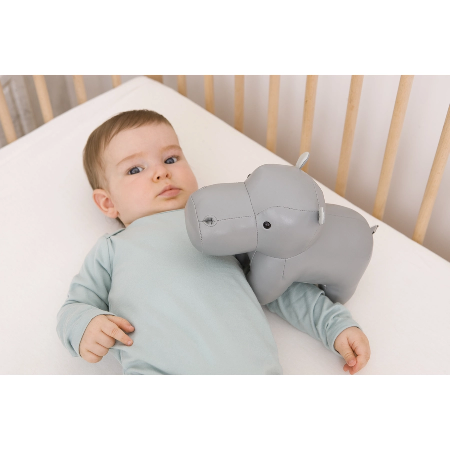 Little Big Friends Die Musiktiere - Sam das Nilpferd