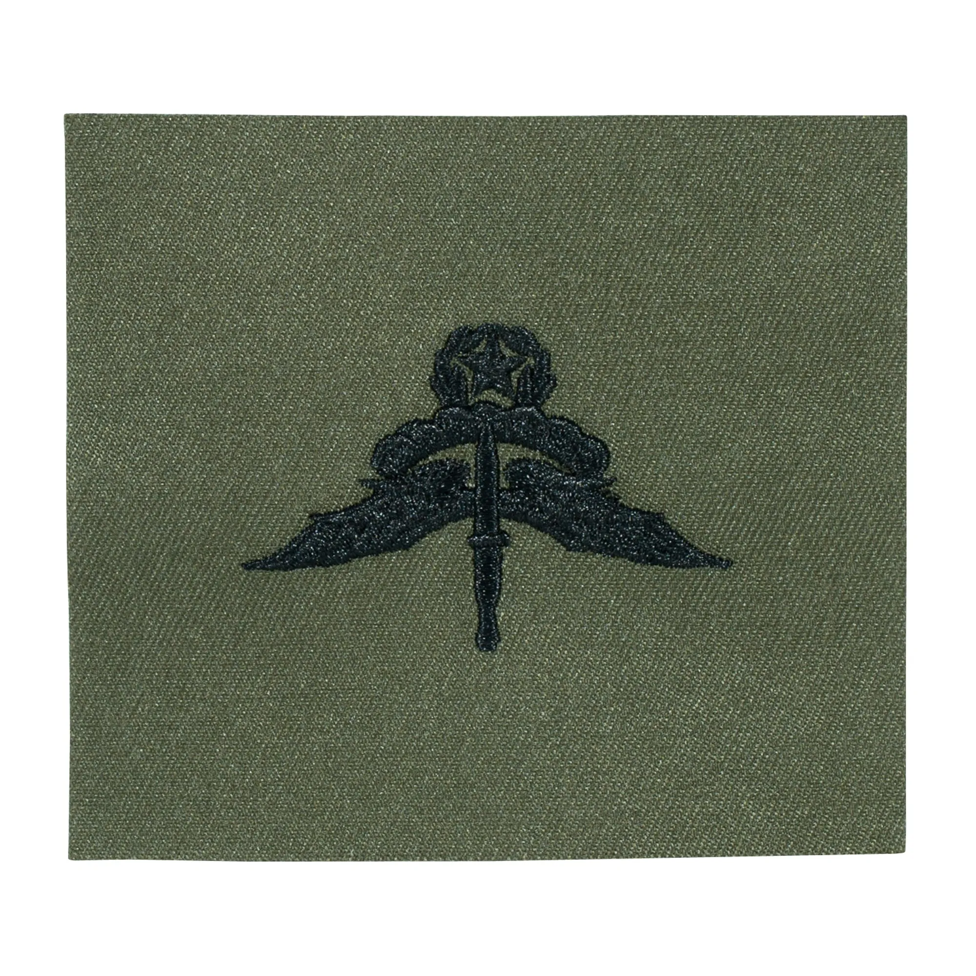 Unbekannt -  Abzeichen US Freefall Halo Master Textil