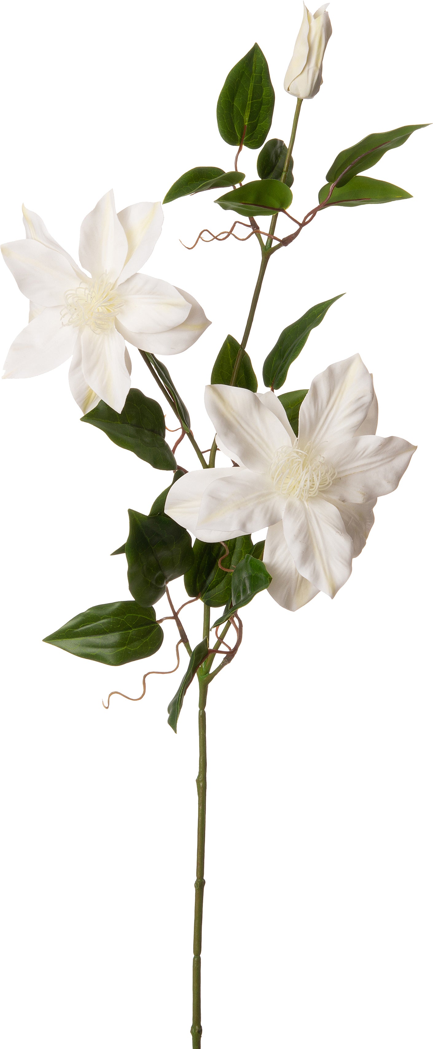 Intratuin kunstbloem Bosrank wit 86 cm