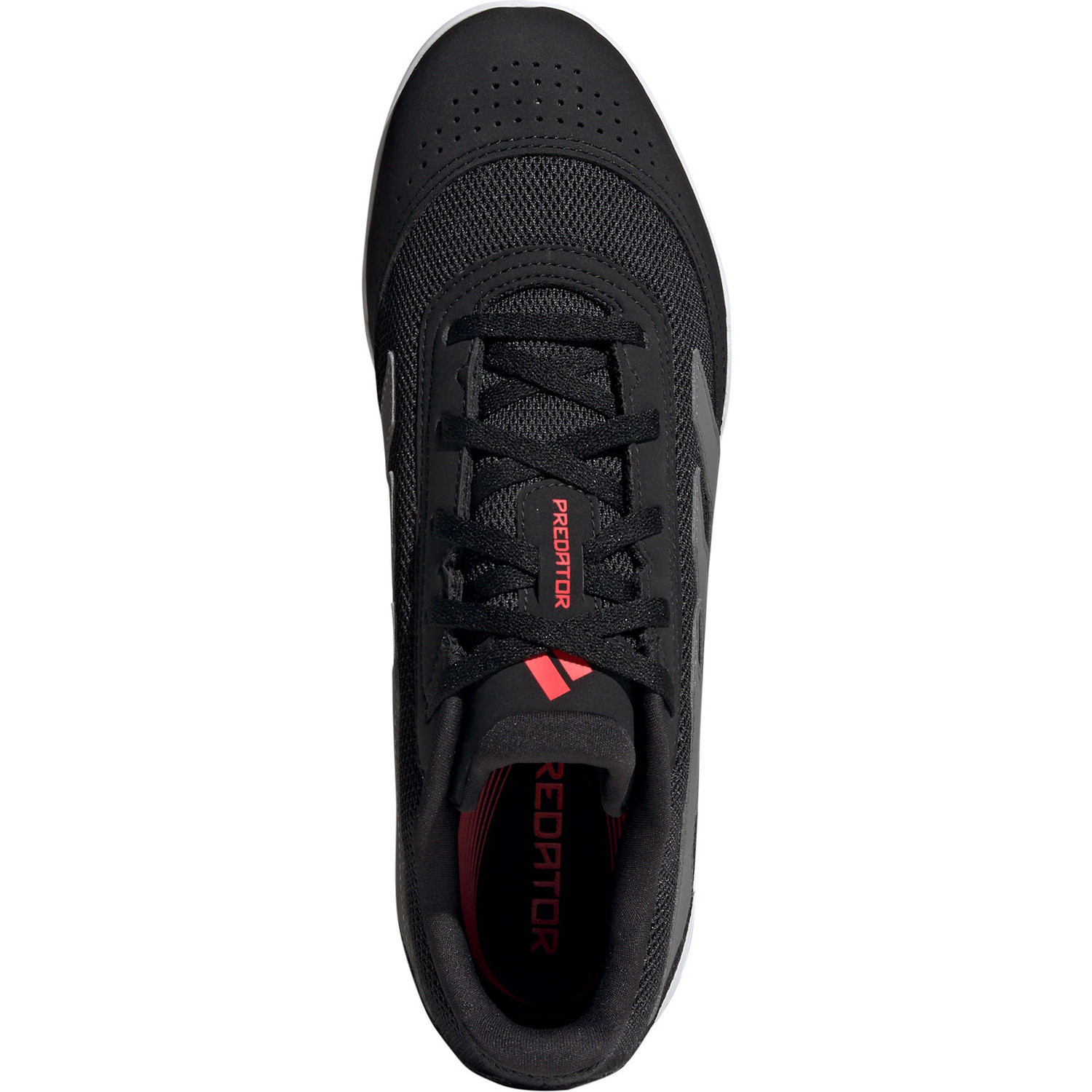 adidas Predator Club Indoor