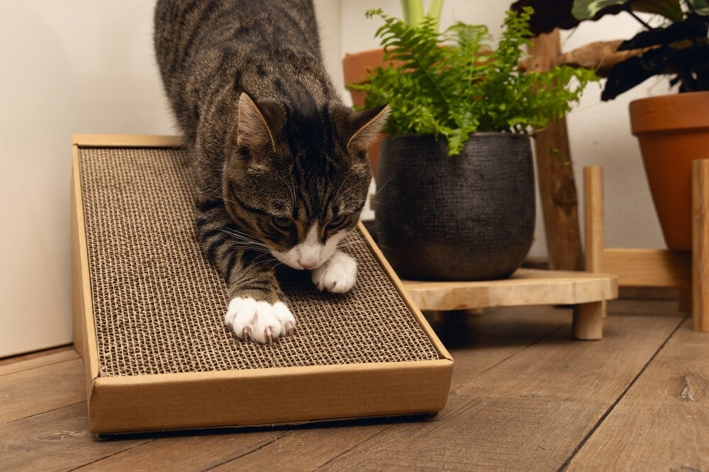 Beeztees krabplank Minus One bruin 49 x 25 x 24,5 cm