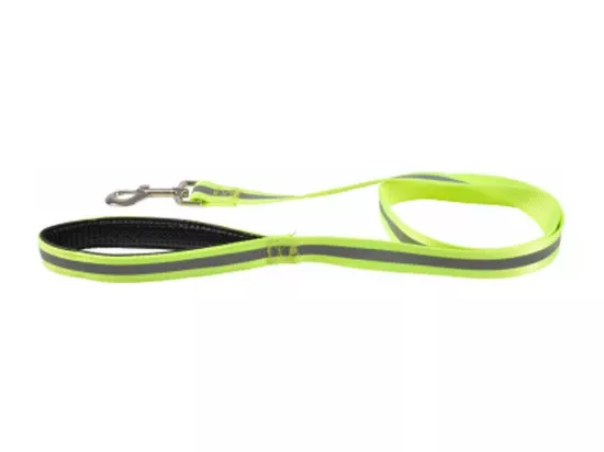 Laisse pour Chien 