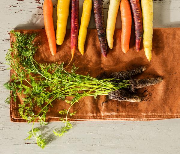 Dehner Gourmet Garten Bunte Möhre, 20er