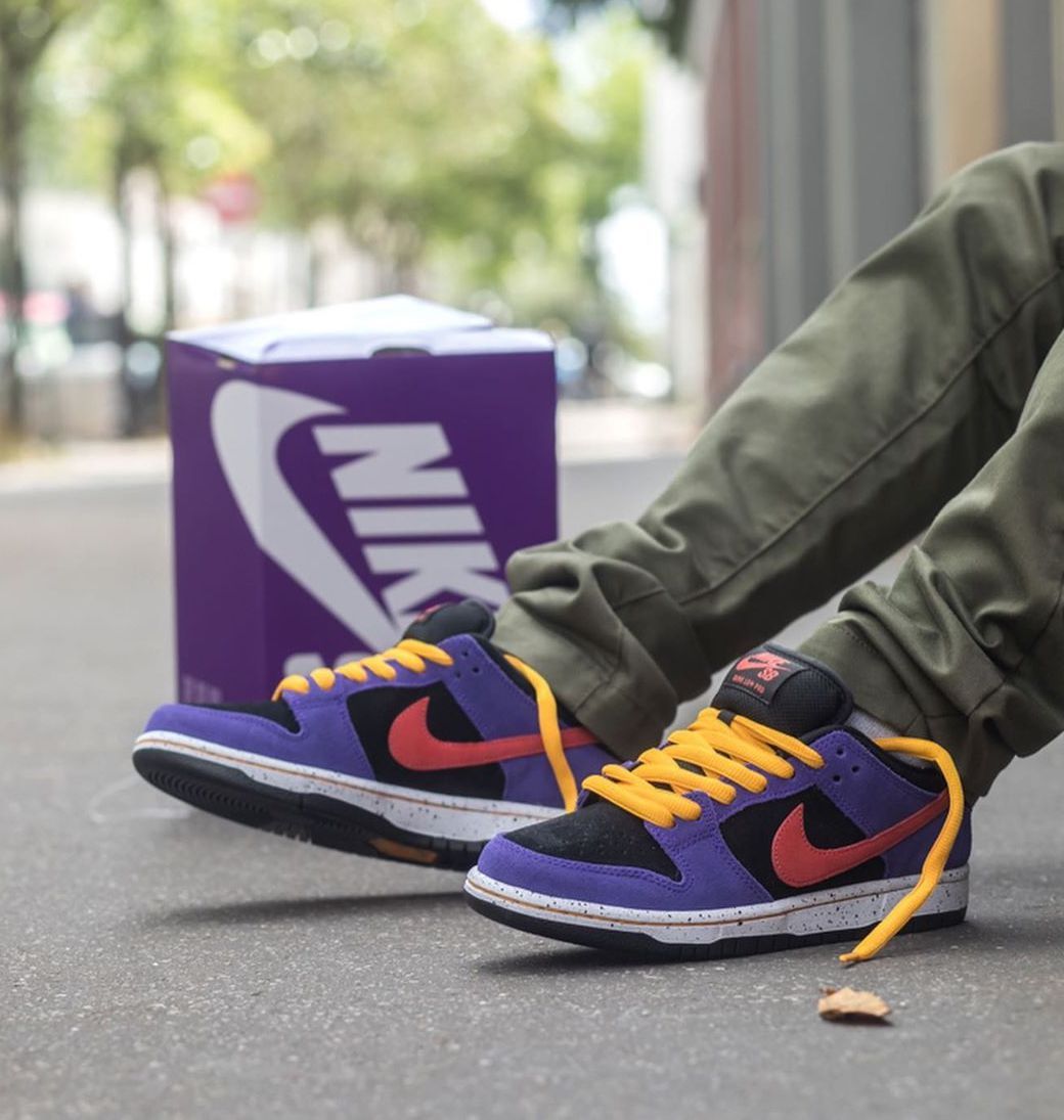 Nike SB Dunk Low ACG Terra
