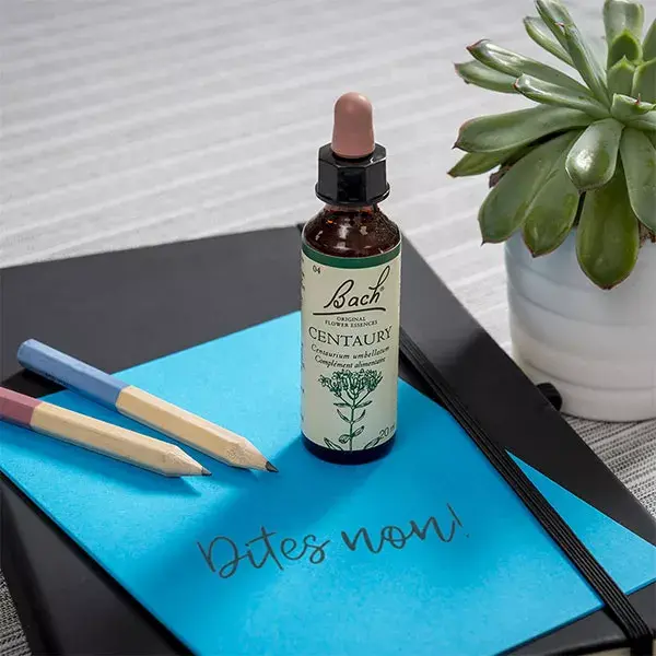 Florais de Bach Originais - Centáurea 20ml