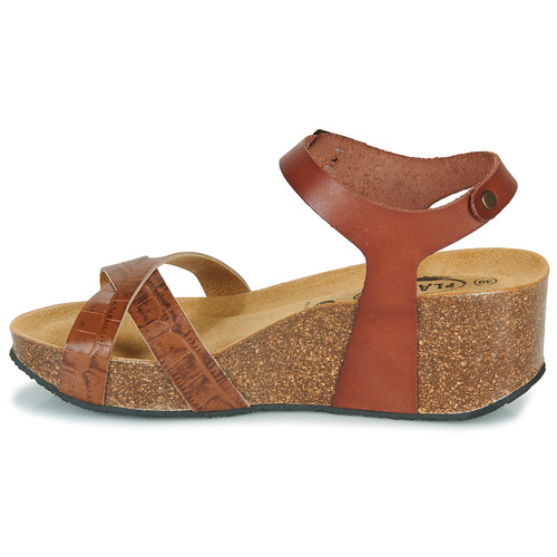 Plakton - SO FINAL - Cognac