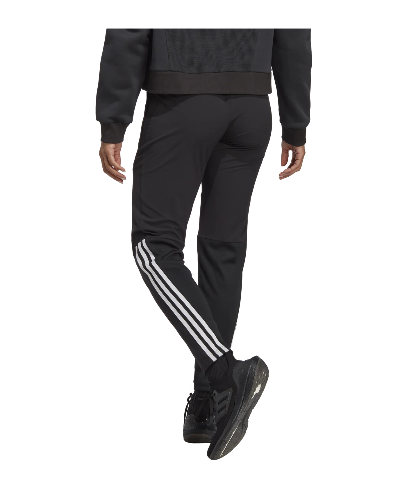 adidas Tiro 23 Competition Präsentationshose Damen Schwarz