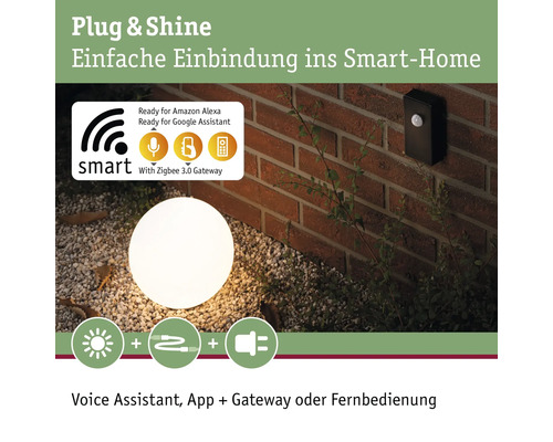 Paulmann Controller Plug & Shine Zigbee IP68 zwart 230/24V - Compatibel met SMART HOME van hornbach
