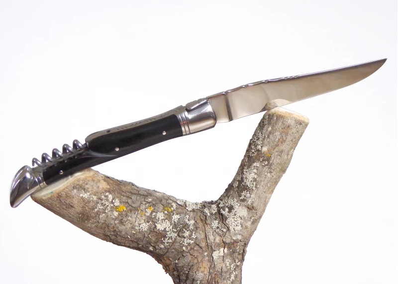 Couteau Laguiole avec un manche en Corne brune et tire bouchon et mitres Inox
