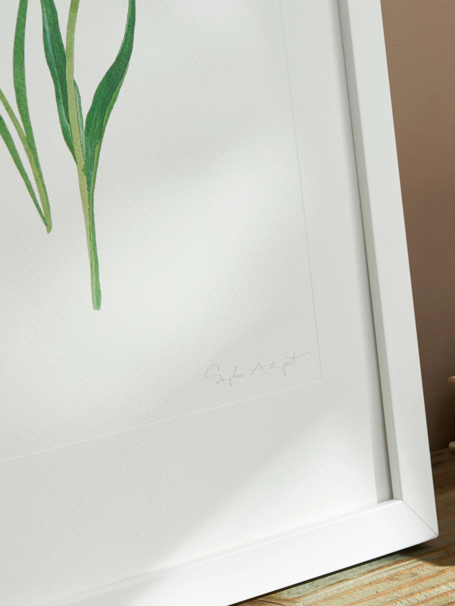 Sophie Allport Tulpen Print Kunstwerk