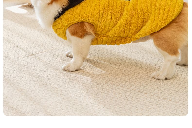 Cissilli - Chenille Pet Top met letters en capuchon