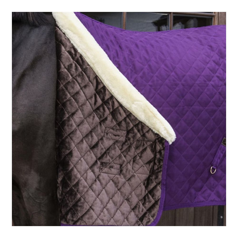 Kentucky SHOW 160G - Couverture de présentation royal purple