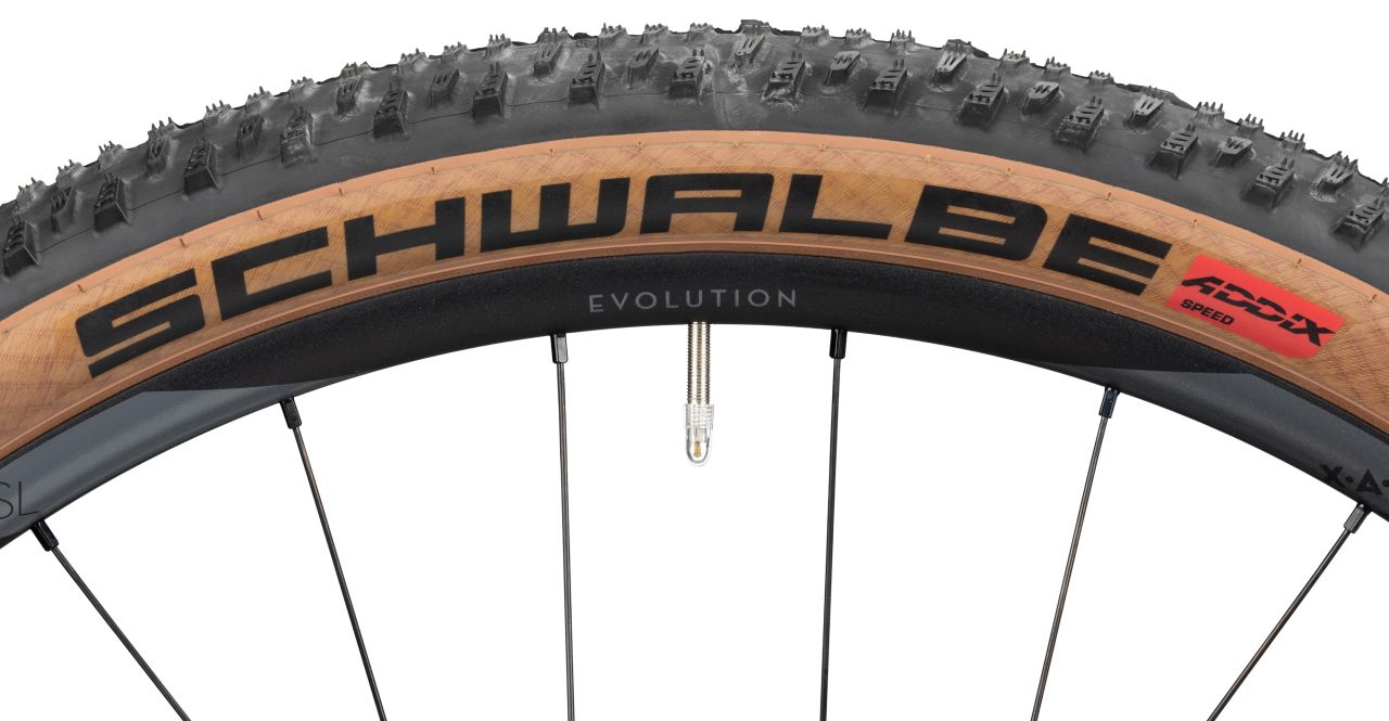 Radon Jealous 9.0 kaufen | Bike-Discount