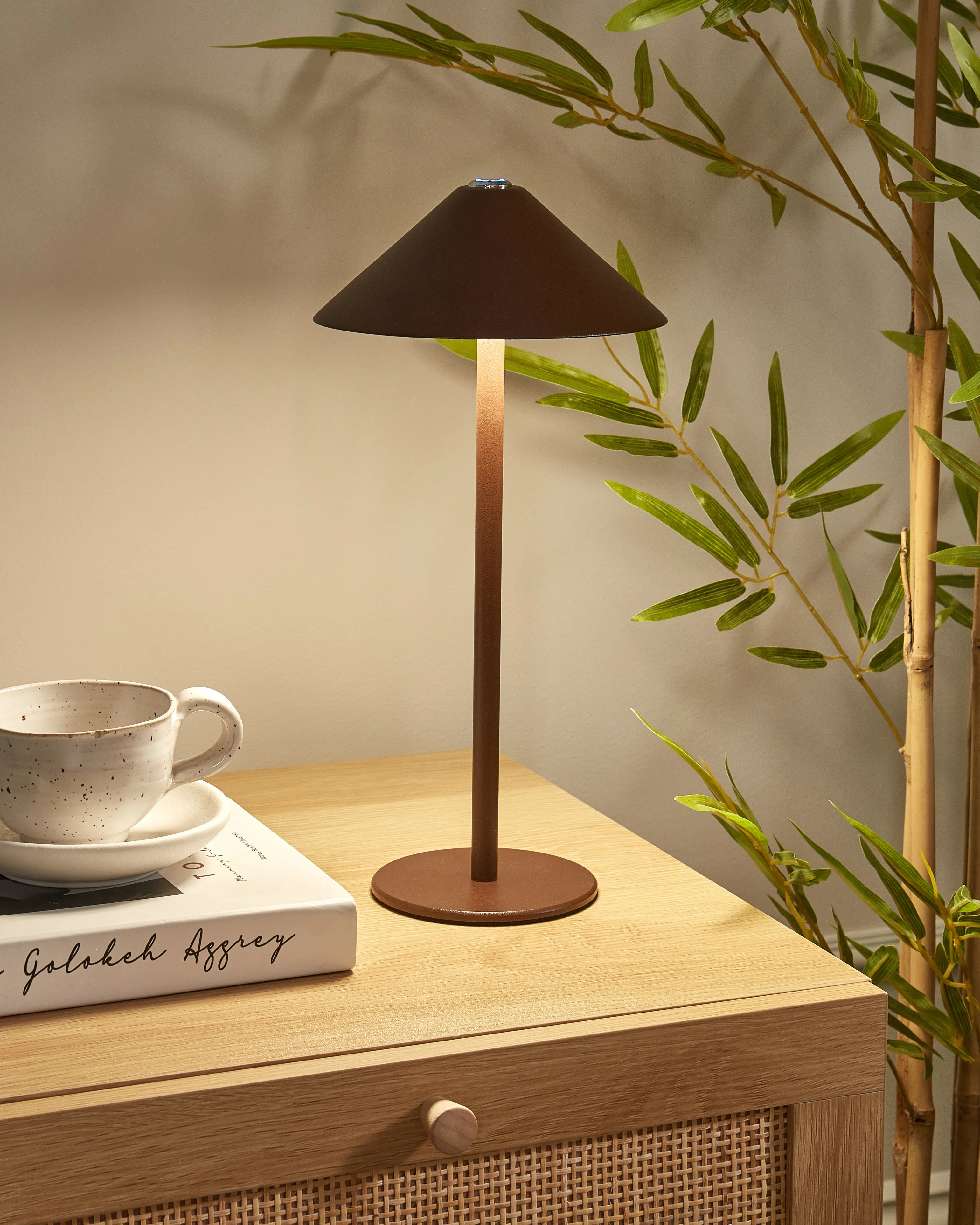 LED draadloze tafellamp FRANCOLI met dimmer Metaal Bruin