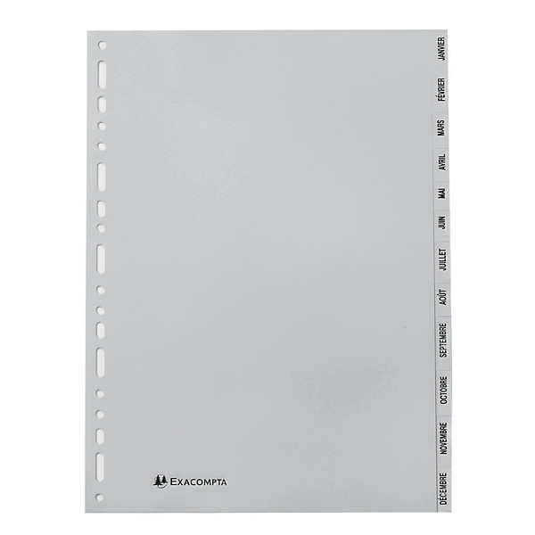 2 x 12 intercalaires mensuels Exacompta format A4 polypro 12/100e