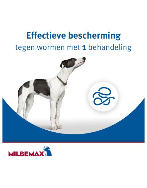 Milbemax Milbemax Pup & Hond - Anti wormenmiddel