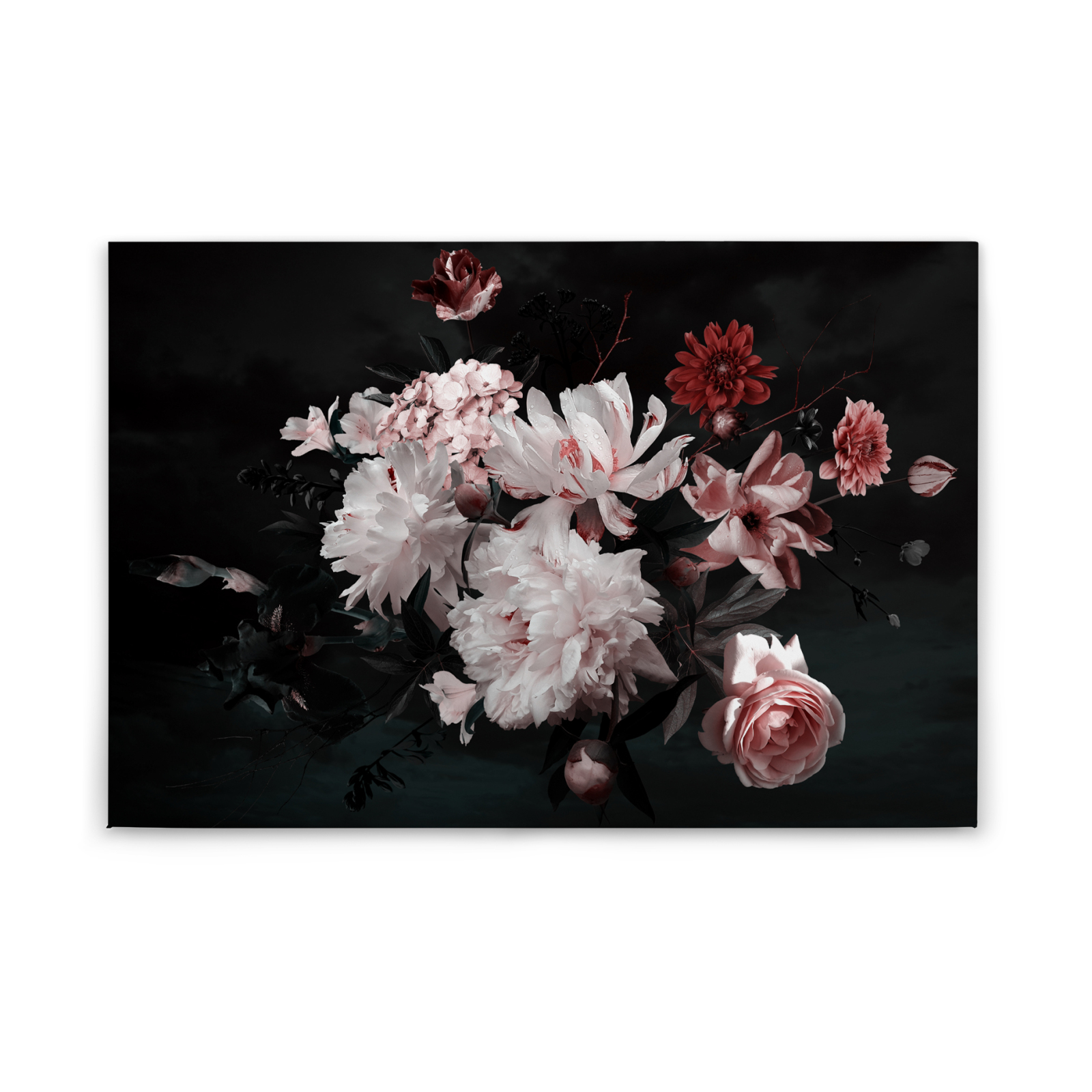 Leinwandbild BLUMEN - weiß-rosa -90x60 cm