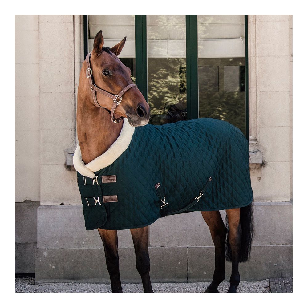 Kentucky 52101 160G - Couverture de présentation dark green